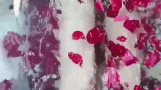 中国精品久久久久久久久久久-小鸟酱与小果酱写真