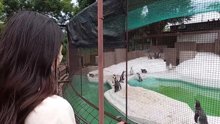 97不卡视频-PPPD-599不行了，我想跟老师做爱