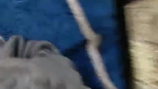 拖鞋家居日韩AV-白皙皮肤呆萌小姐姐！情趣耳朵抓屌吸吮！头套男怼着骚穴猛操，骑乘姿势打桩机，无套内射。